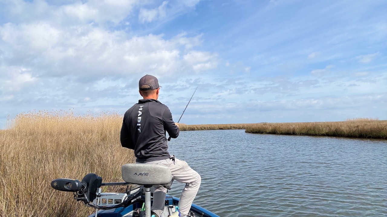 Spring Has Sprung -- the Marshes Come Alive!!