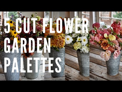 Vídeo: Cut Flower Garden Plants: O que são boas flores para um jardim de corte