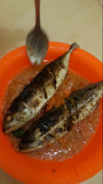 IKAN BAKAR  RESEP BUGIS WAJO TERENAK DI DUNIA