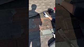 IMG 6129