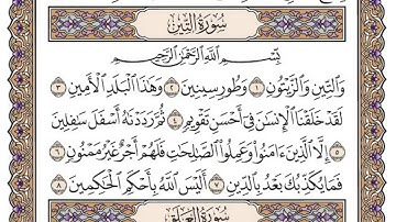 سورة التين/ الشيخ محمد أيوب رحمه الله