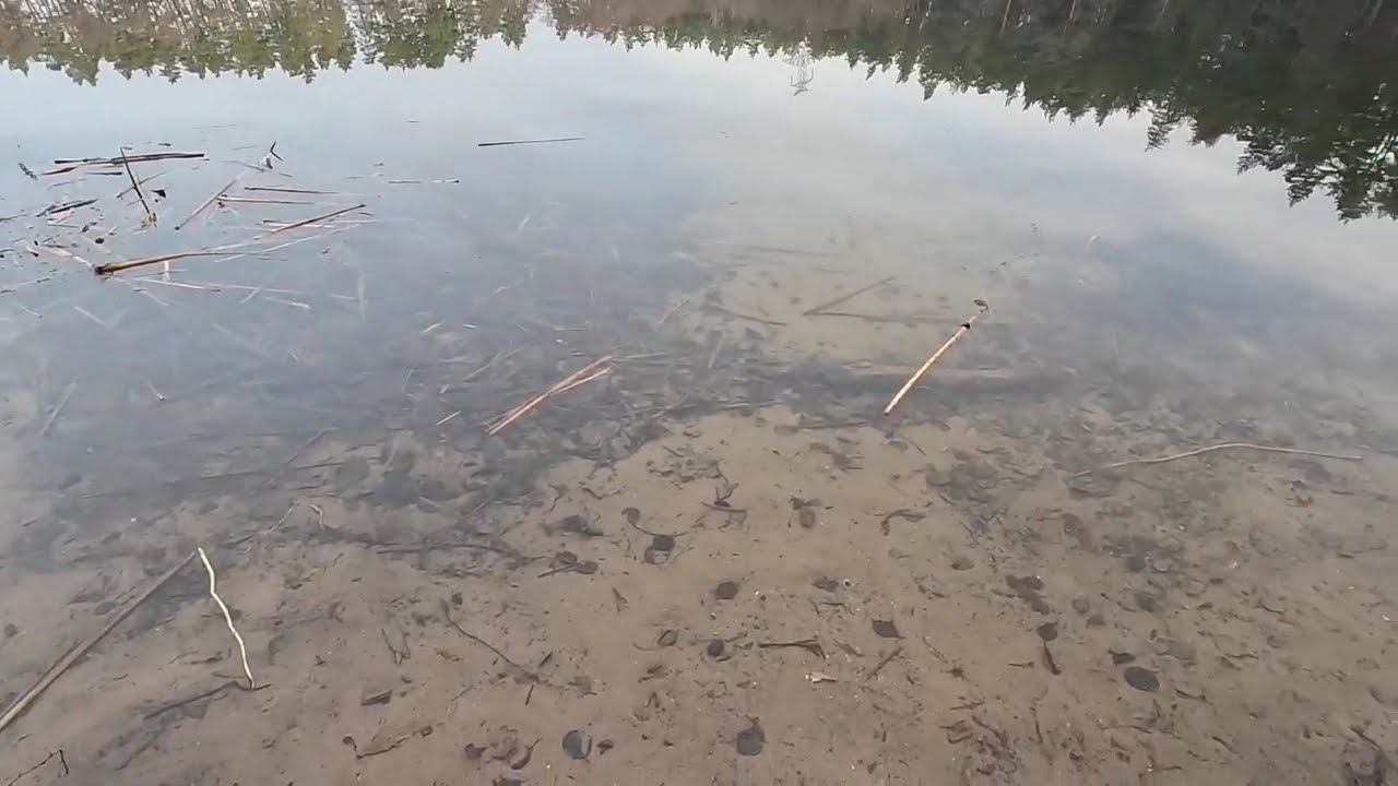 Żabiego Oczko 29 grudnia 2024