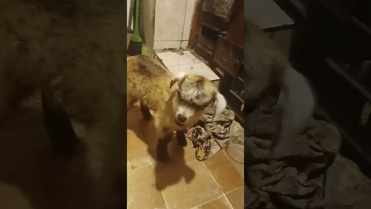 27 февраля 2026 г.