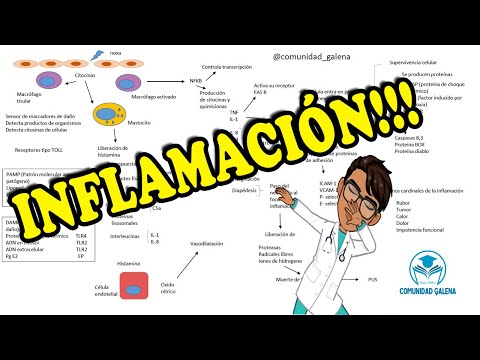 Video: ¿Son las manifestaciones clínicas de la inflamación?