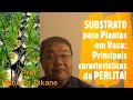 Substrato para plantas em vasoprincipais caractersticas da perlita profroberto takane