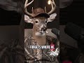 WHO GIVE A BUCK!