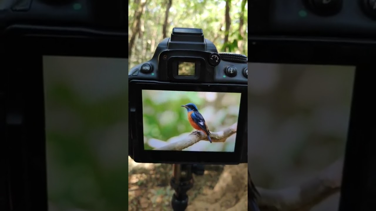 An accomplished photographer😱😱 