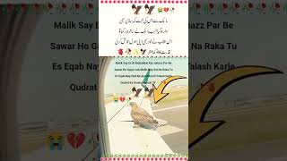 "Qudrat Ka Anoka Manzar"🦅🦅😭💔🥀#malik#jahaz#eqab#foryou#quotes#like#comment#subscribe#