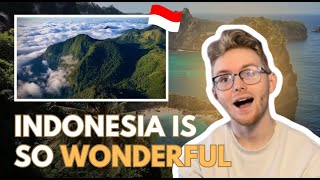 I NEED TO VISIT - Wonderland Indonesia 2024 (REACTION!)