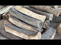 Fastest Cutting Wood 🪵 Machines | Extremely dangerous Cutting sawmill machine #01