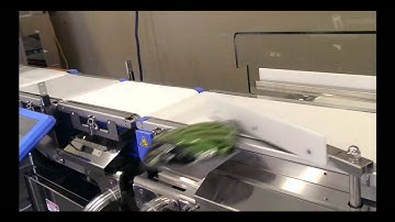 EZI-Check Metal detection and inline weighing