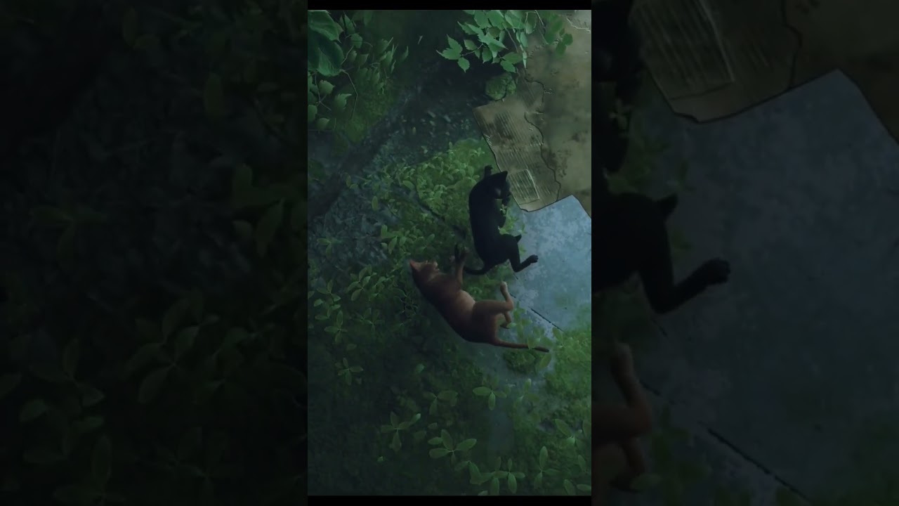 Stray Playthrough Available on Paranoia's Dungeon