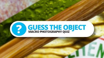 Can you guess the objects? - Close-up Photo Quiz