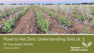 Road to Net Zero: Understanding Soils Part 1 with Dr Cassandra Schefe