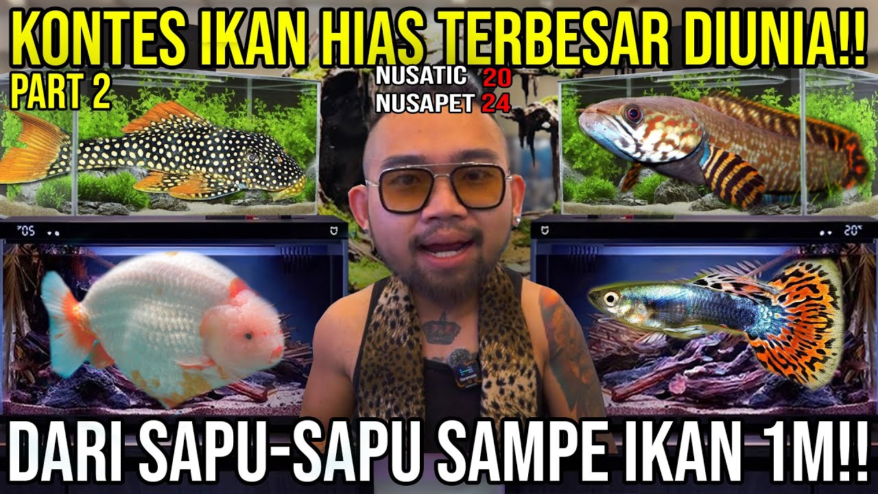 KONTES IKAN TERBESAR DI INDONESIA PART 2!! PLECO GUPPY GOLDFISH CAHNNA MARINE KOI