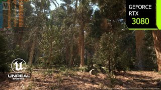 RTX 3080 Unreal Engine 5.1 Redwood Forest Tech Demo - How Good Can it Run Next-Gen Graphics