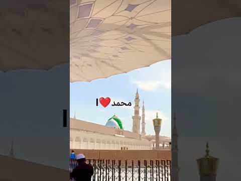 Saloo Alal Habib Love Mohammad Rasoolallah Beautiful Shabirdero Youtubechannel Youtubevideos