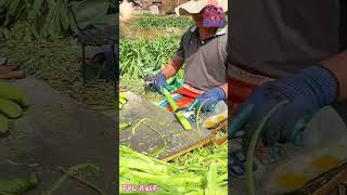 Remove The Outer Skin Of Lettuce Stems With A Knife