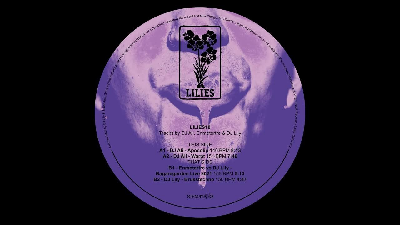 Бендер санта клаус. Футурама лила красивая. Александра панкрашина. Dj lily. Лила 10.