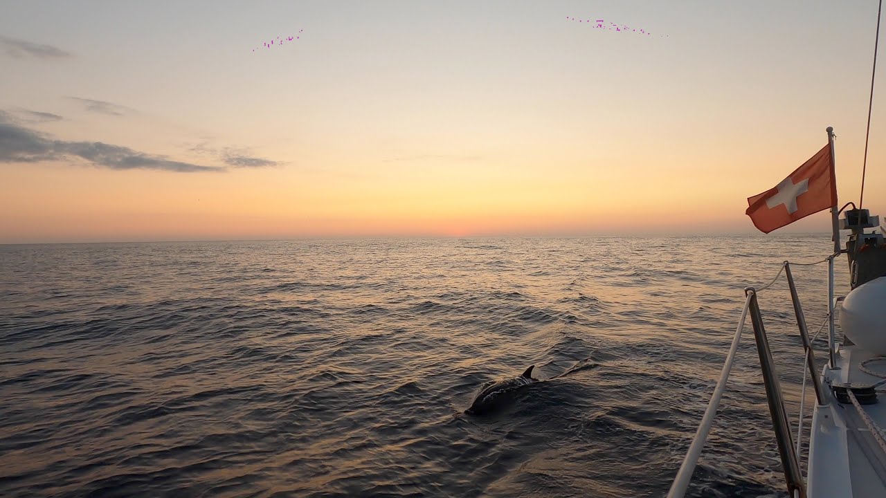 Voilier Fou de Bassan - Saison 1 Bretagne - Nuit en mer avec les dauphins #8