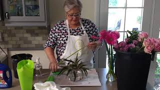 Famous Alice's Table Profile