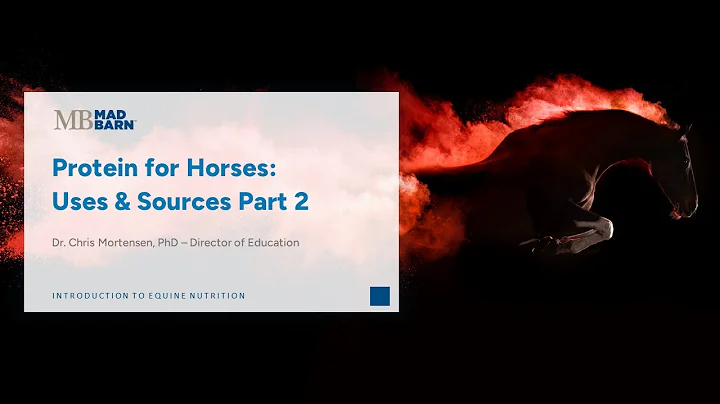 2.4 - Protein for Horses: Sources & Uses: Pt 2 - Introduction to Equine Nutrition - Mad Barn Academy