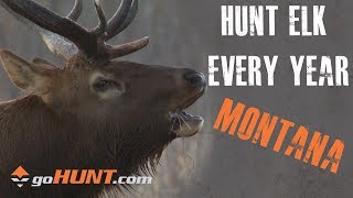 Hunt Elk Every Year: Montana and the goHUNT INSIDER