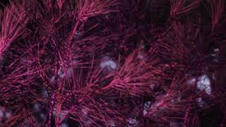 Uppermost - Endure