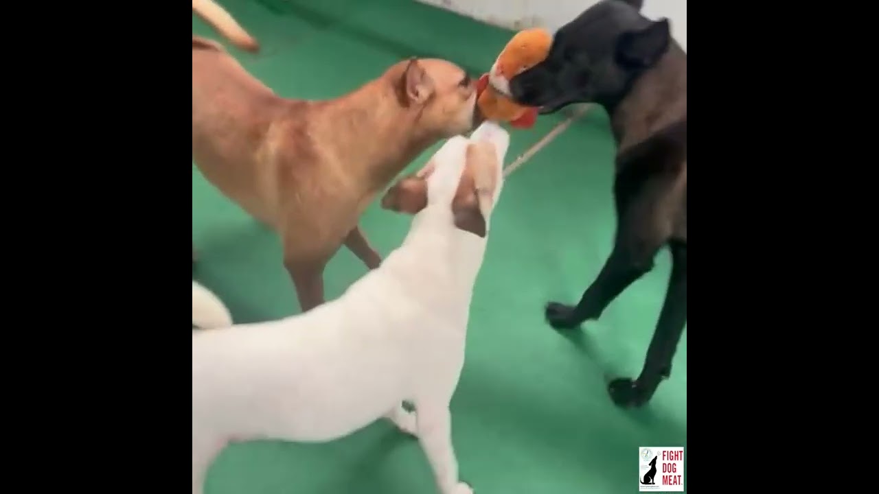 Vietnam: Good Morning From Some Of Our Kids