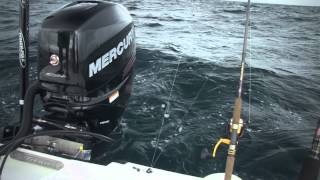 FS Seminar - Live Bait Trolling (Bump Trolling)