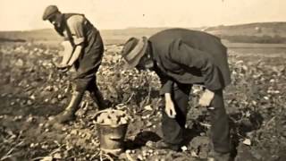 "Digging" by Seamus Heaney