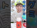 【ハンバーガー】本物orグミ⁉️ミキサーで混ぜてみた😱本物ハンバーガーorハンバーガーグミ・本物ソフトクリームorソフトクリームグミなど...マックor海外グミ チャレンジ🔥【右左どっち？】