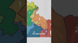 Celebrity Virginia Supreme Court Strikes Down Gerrymandered Maps in ‘Massive’ Loss for Dems’ #shorts Profile