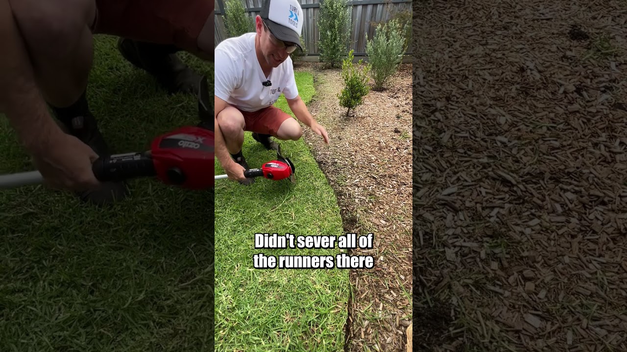 $99 Ozito Grass Trimmer kit vs Natural Curved Garden Edge.