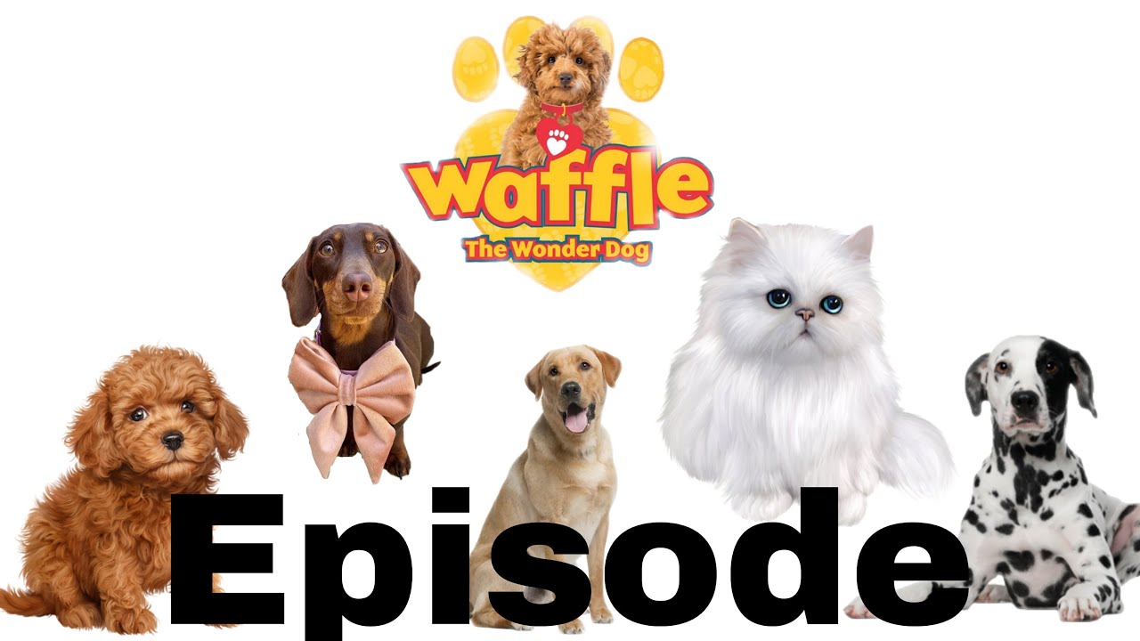 An Awesome Start - Waffle Doggy Episodes