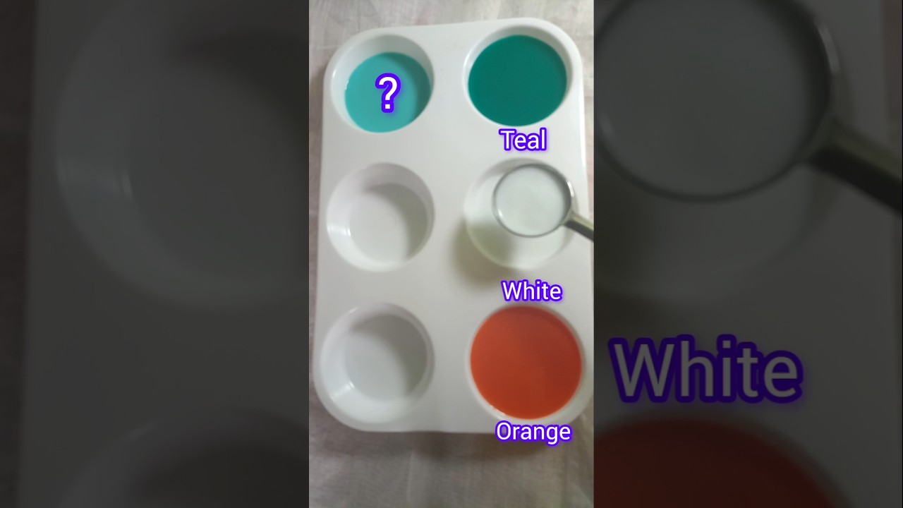 Color Guessing Challenge s176