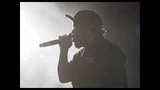 Ice Cube - South Korea Live Recap