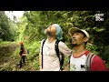 Eavesdropping on Orangutans