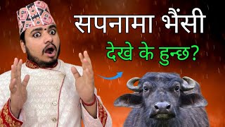 सपनम भस दख क हनछसपनक शभ अशभ फलSapanako Fal