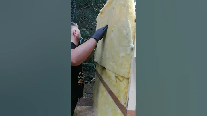 Video 1834421: amazing savannah cats, cat house