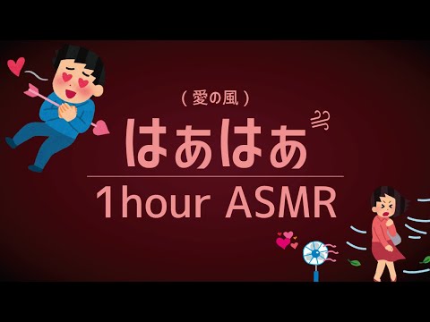漏れに漏れ出る"はぁはぁ"吐息ASMR音1時間(睡眠/作業用) /1hour haxahaxa(Breath sounds For Sleep)