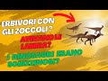 Aggiornamenti scientifici sui dinosauri - Autunno 2025