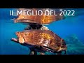 Pescasub: TOP TEN - Il meglio del 2022