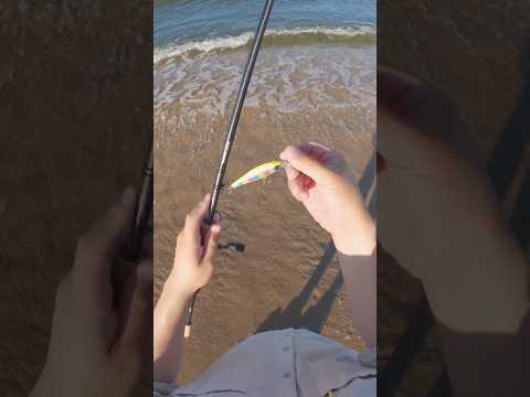 Jerkbait Flounder - All Summer :)