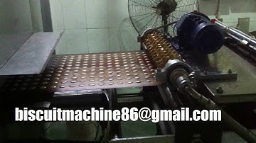 Macaroon depositor and Mini biscuits depositor machine