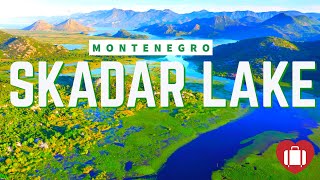 SKADAR LAKE MONTENEGRO 4K