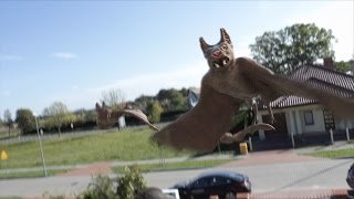 Flying bats (3ds max zbrush after effects)