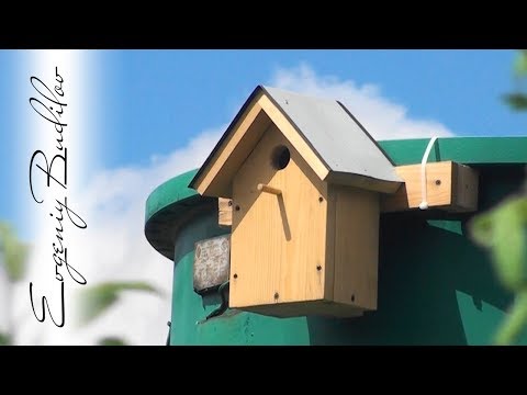 Видео: Как да си направим къща за папагали