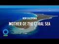 New Caledonia, Mother of the Coral Sea