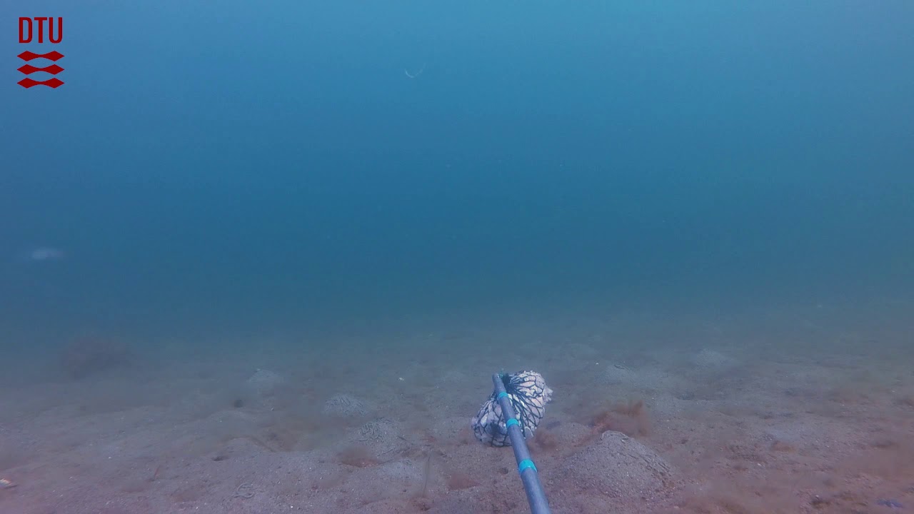 Return of the Resolutions